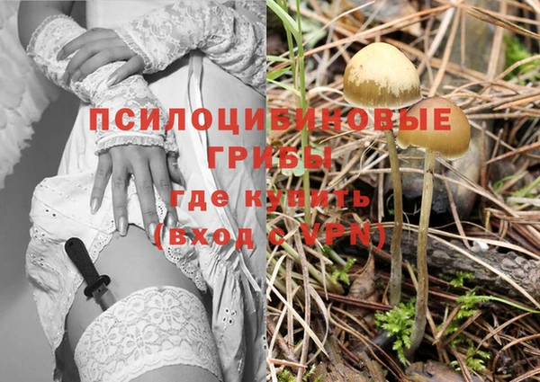 гашиш Алзамай